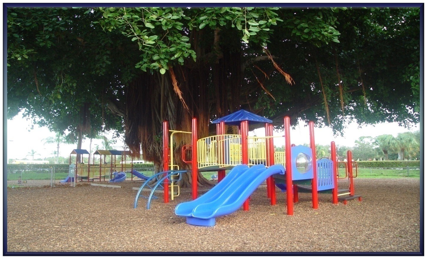 View Photo
