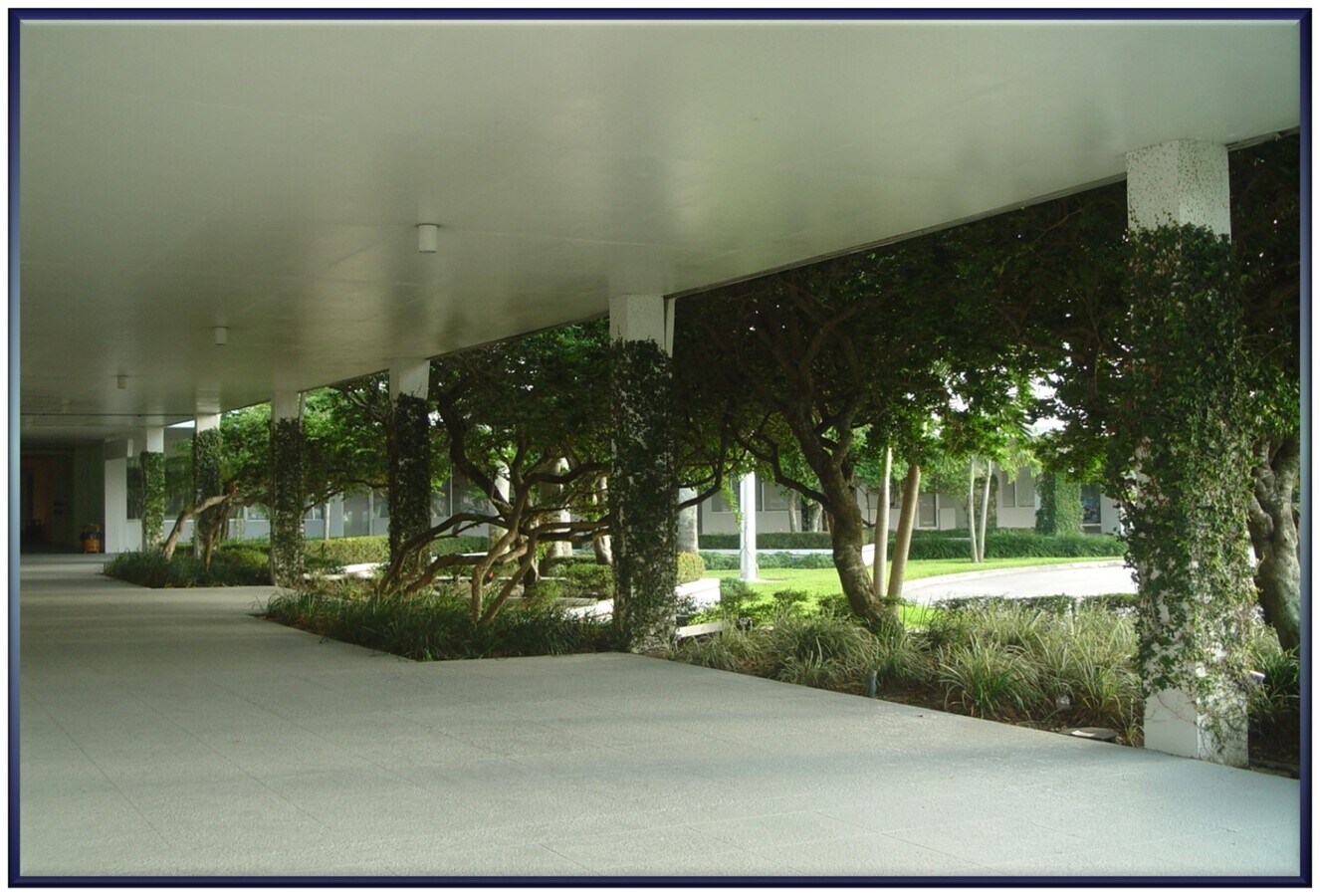 View Photo